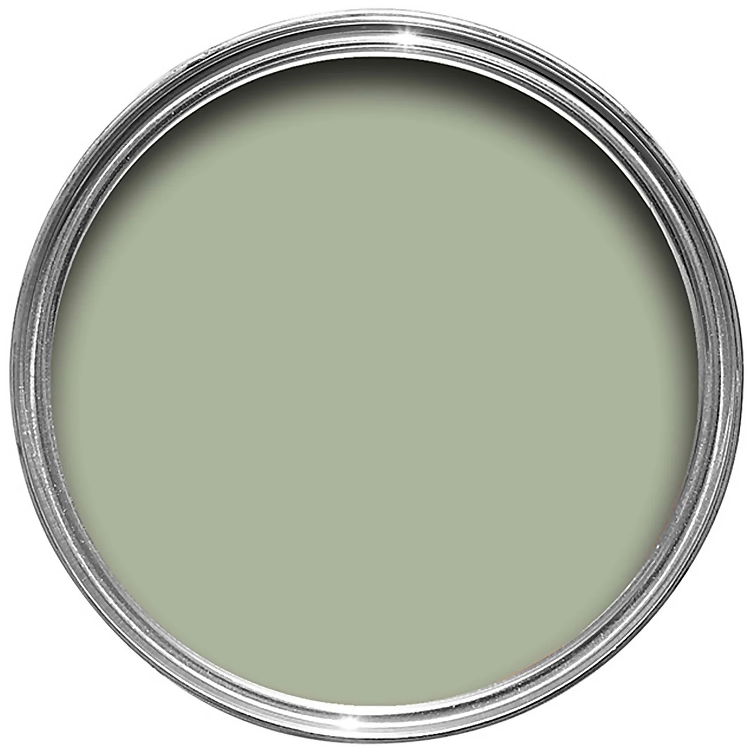 Farrow & Ball Exterior Masonry Vert De Terre - 5L 2 Farrow & Ball Exterior Masonry Vert De Terre - 5L - Image 2