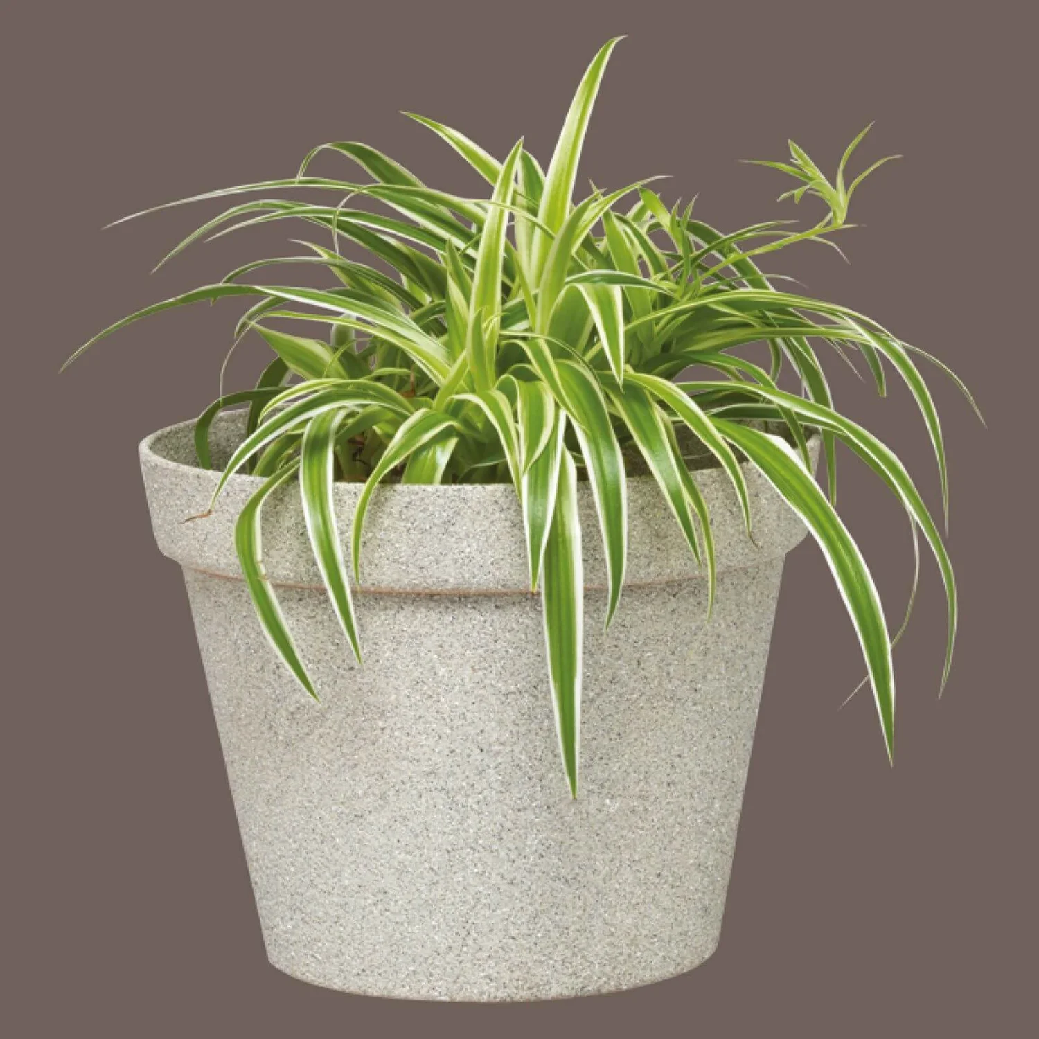 Rust-Oleum Stone Spray Paint - Pebble - 400ml 2 Rust-Oleum Stone Spray Paint - Pebble - 400ml - Image 2