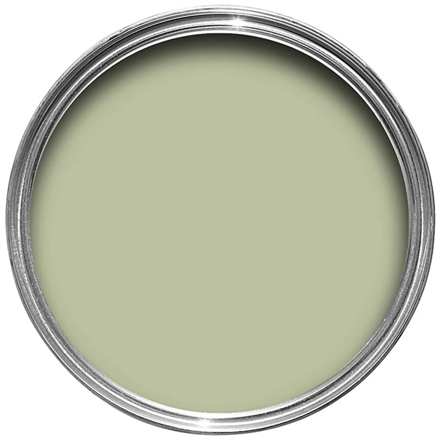 Farrow & Ball Exterior Masonry Cooking Apple Green - 5L 2 Farrow & Ball Exterior Masonry Cooking Apple Green - 5L - Image 2