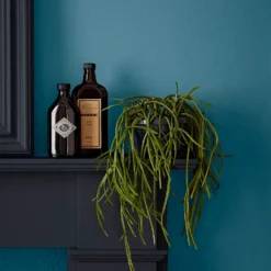 Crown Easyclean Bathroom Paint Teal - 0.04L 8 Crown Easyclean Bathroom Paint Teal - 0.04L -Sandtex Shop 12886566 2014853989681893