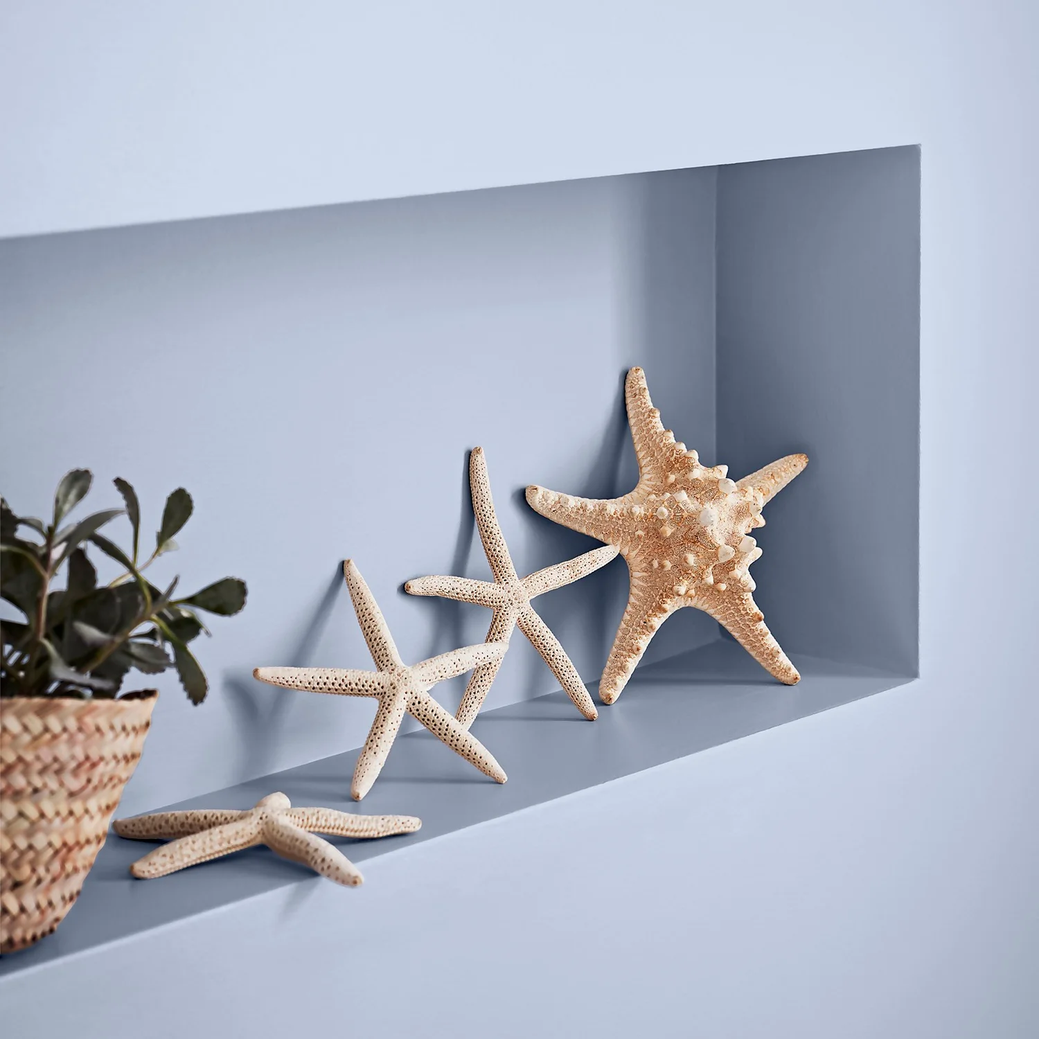 Crown Easyclean® Mouldguard+ Bathroom Mid Sheen Washable Multi Surface Paint Platinum® - 2.5L 3 Crown Easyclean® Mouldguard+ Bathroom Mid Sheen Washable Multi Surface Paint Platinum® - 2.5L - Image 3